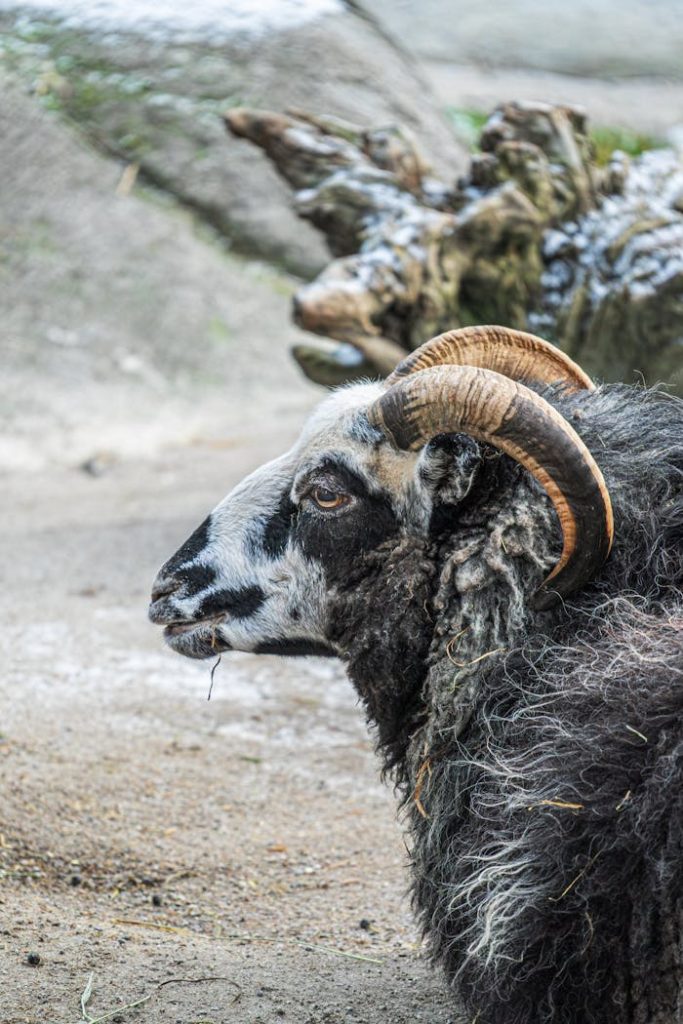 pexels photo 35534437.jpeg