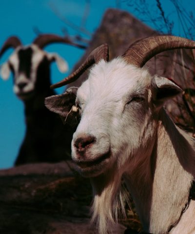 pexels photo 2860869.jpeg